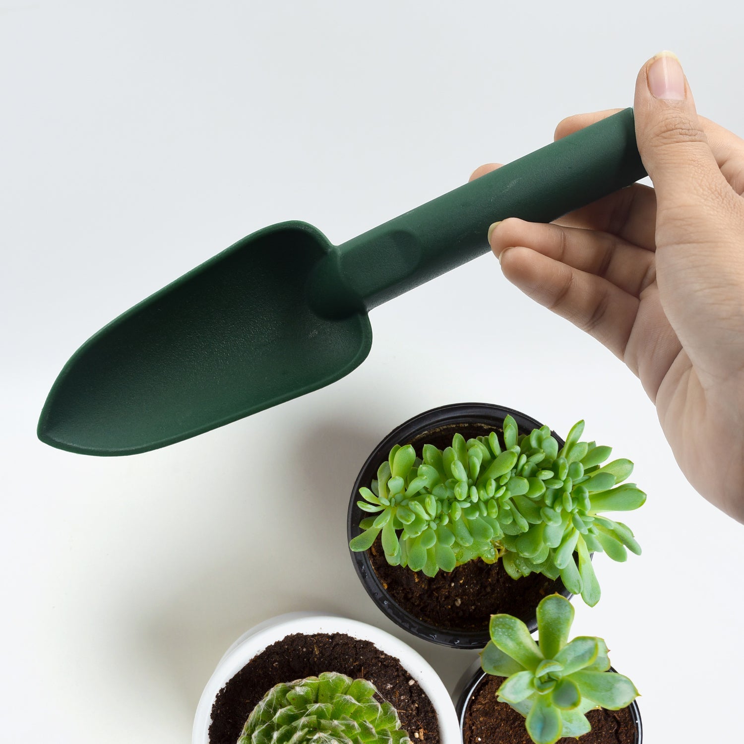 Mini heavy-duty gardening tool, hand trowel for digging and planting. Mini heavy-duty gardening tool, hand trowel for digging and planting.